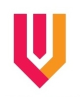 logo Palestra Pisa Vittoriafitness 